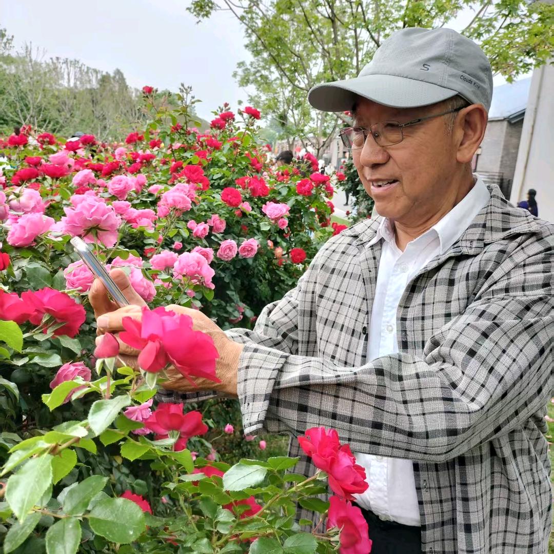 十全十美