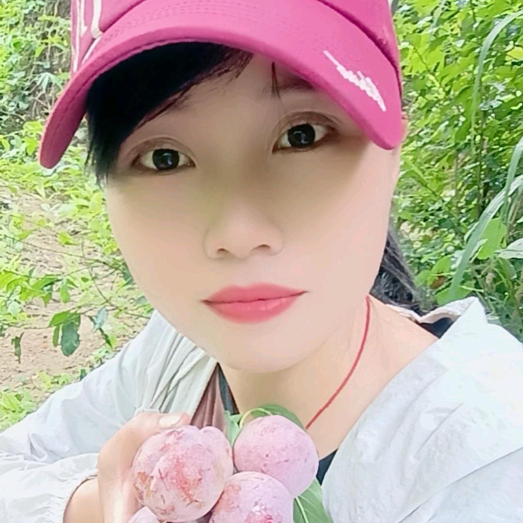 li小五银妃三华李果园直销