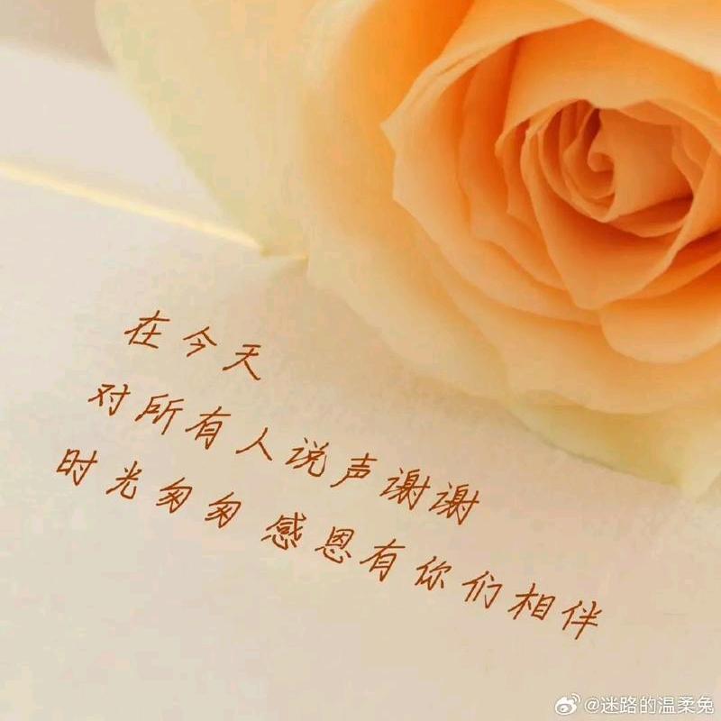 小芳姐