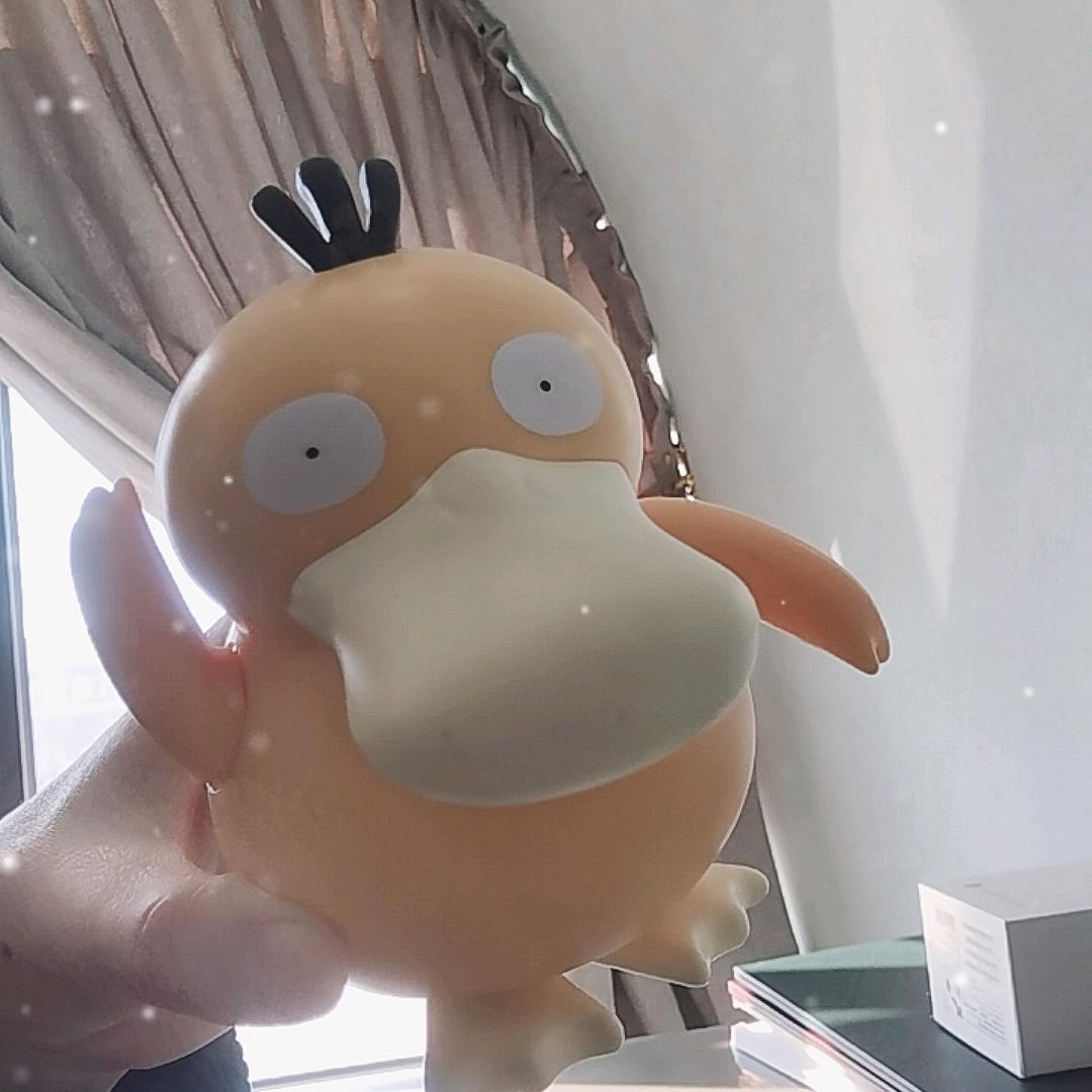 小黑宝