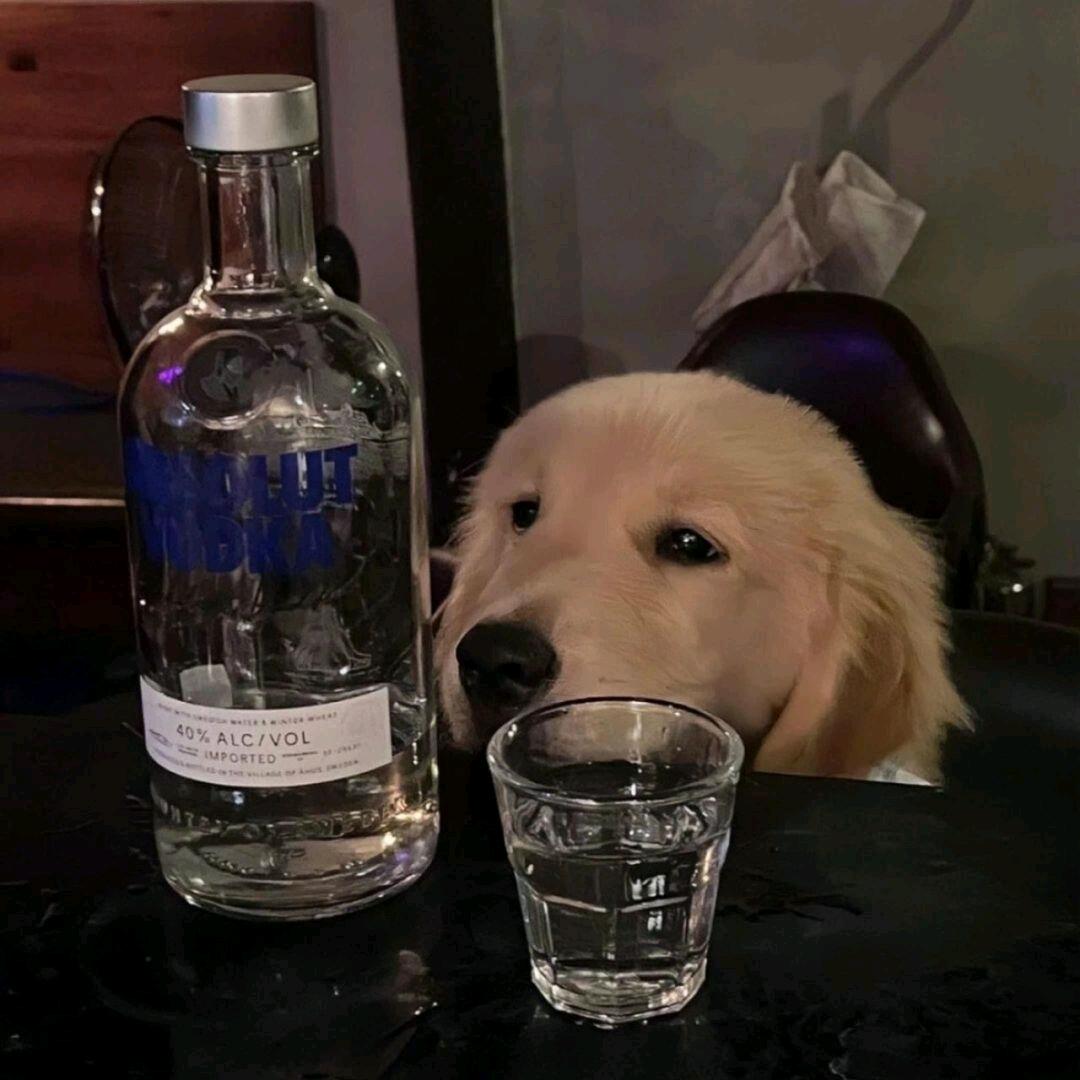 卋罖