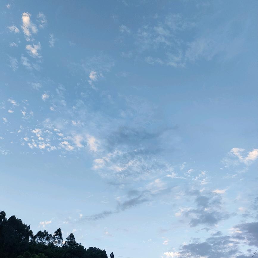电惦