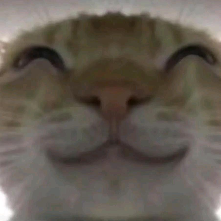 鱼89621