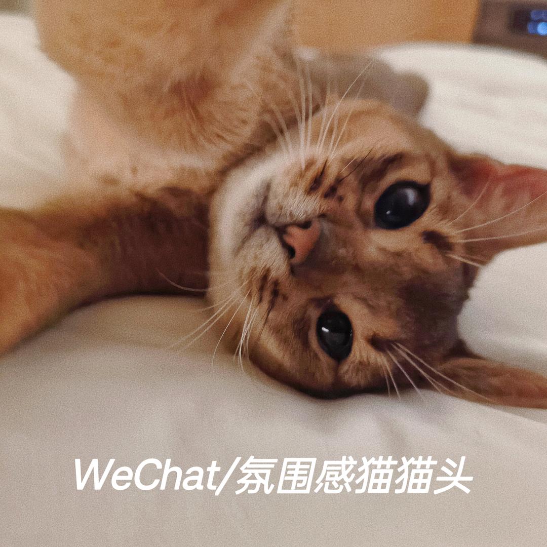 小小新秀（接单版）