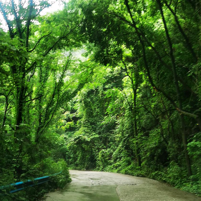 挖机，小汤