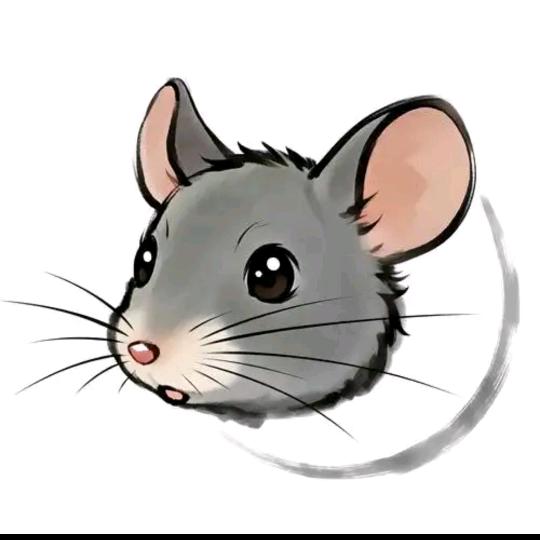 随性（三角洲行动）