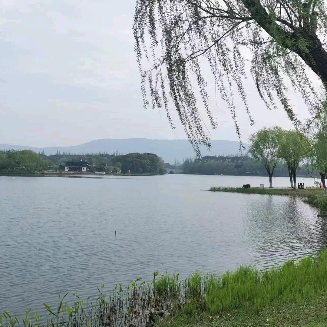 阿爽