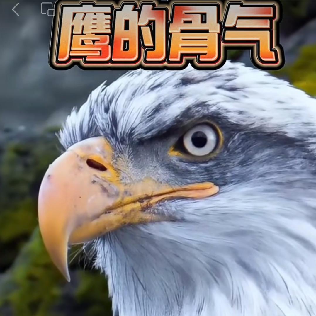 智慧女神（读书.育儿.养生.美容.）