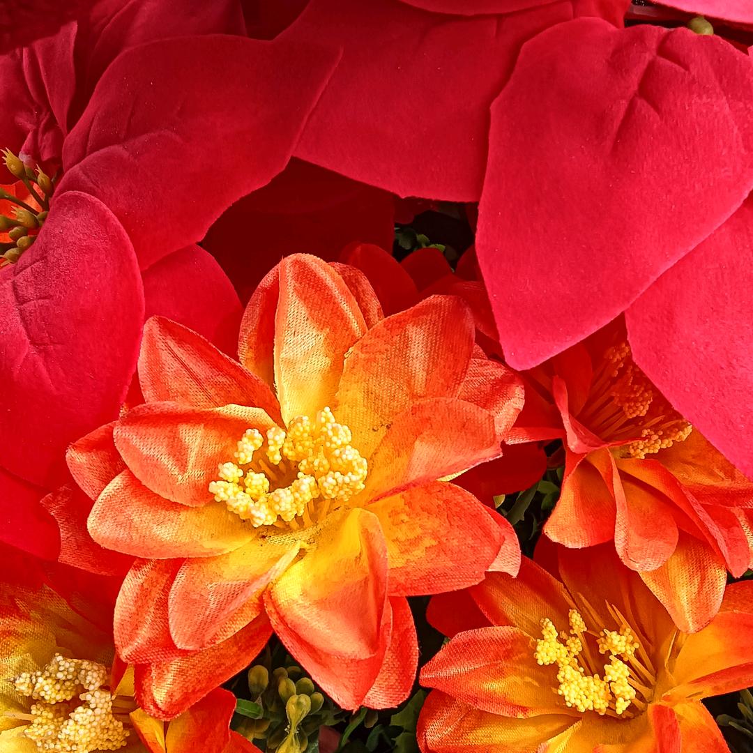 樱桃（关赞必回）