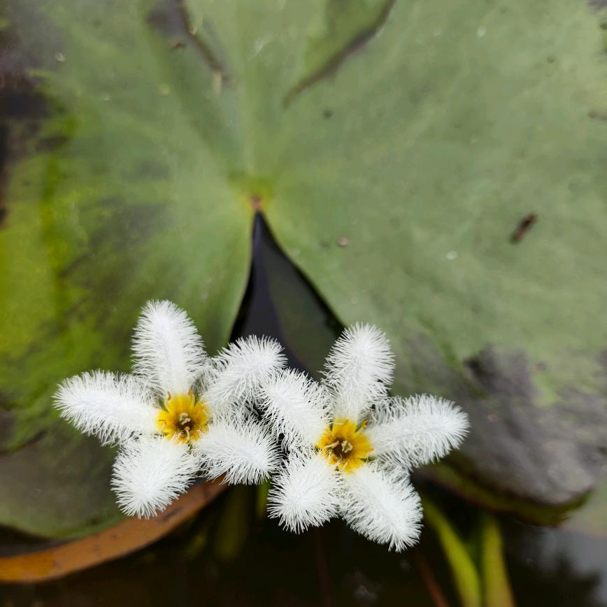永程