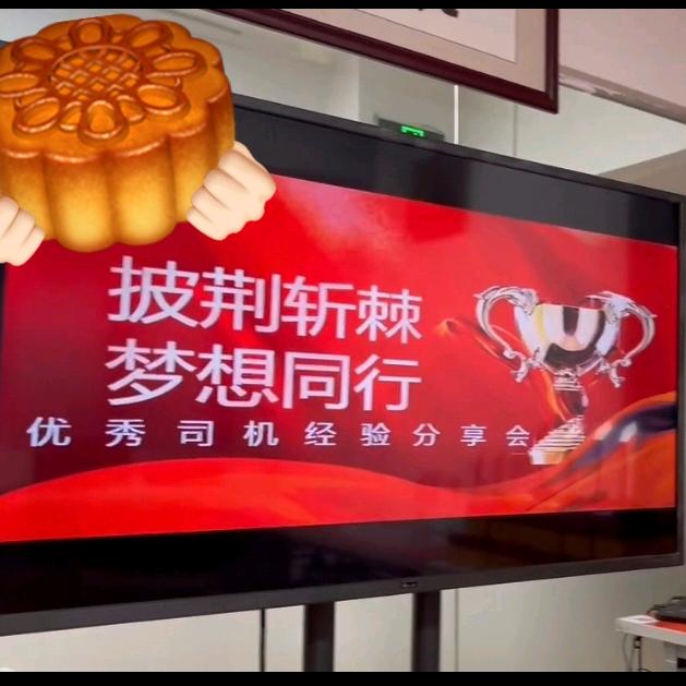 振翅车队