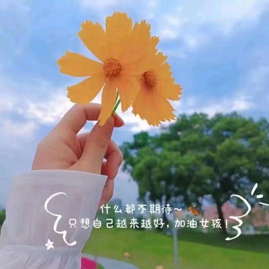 🤗太阳当空赵😍