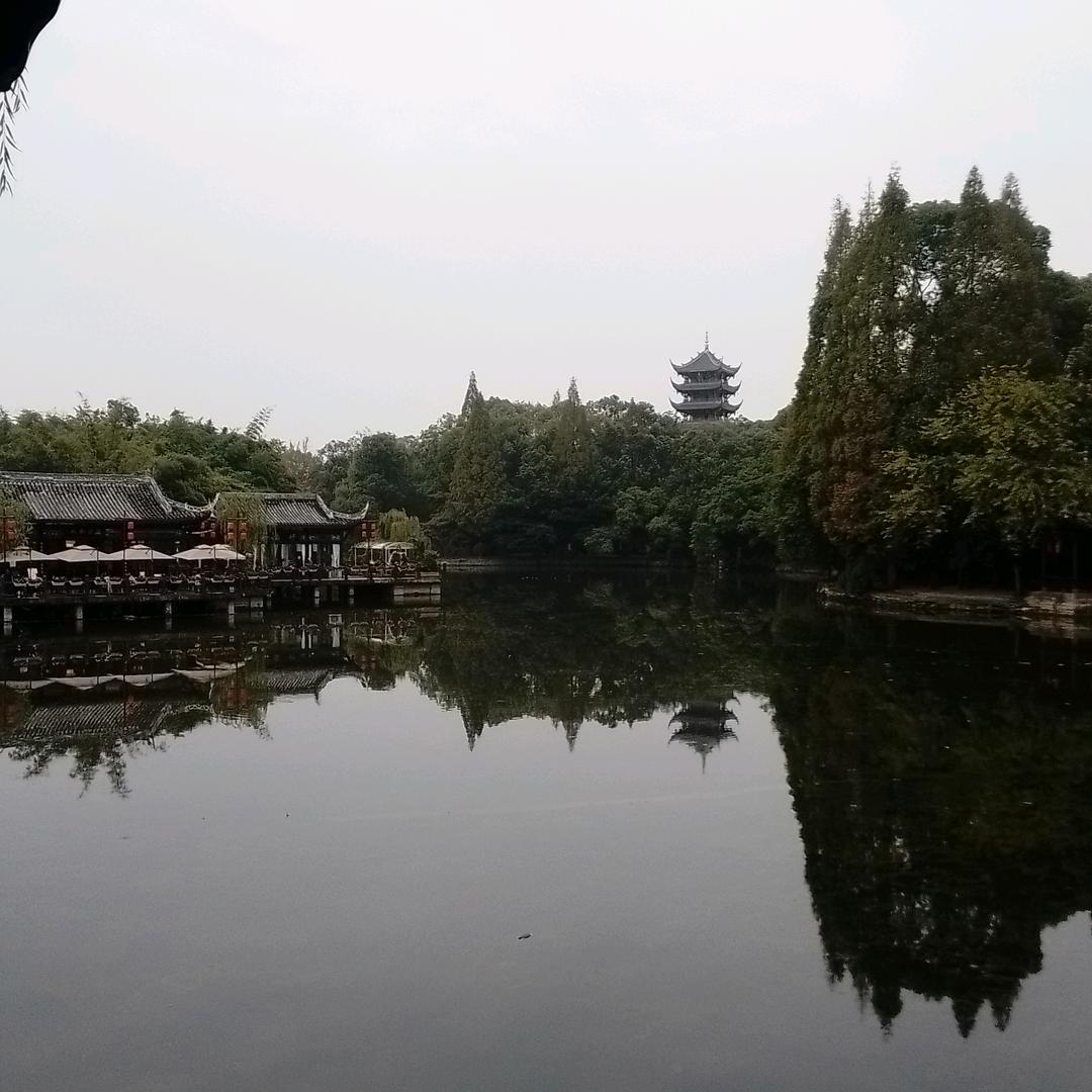 阿狸15🥛