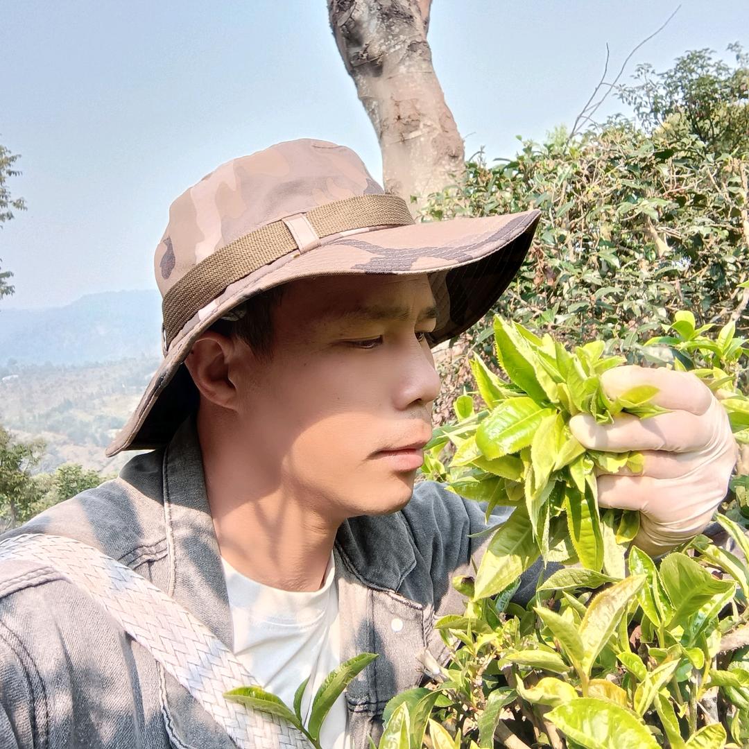 以茶相遇