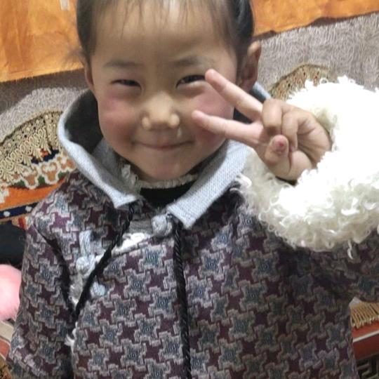 雪莲花