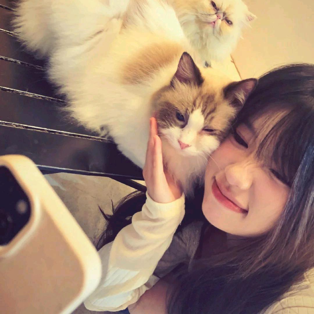 燕燕