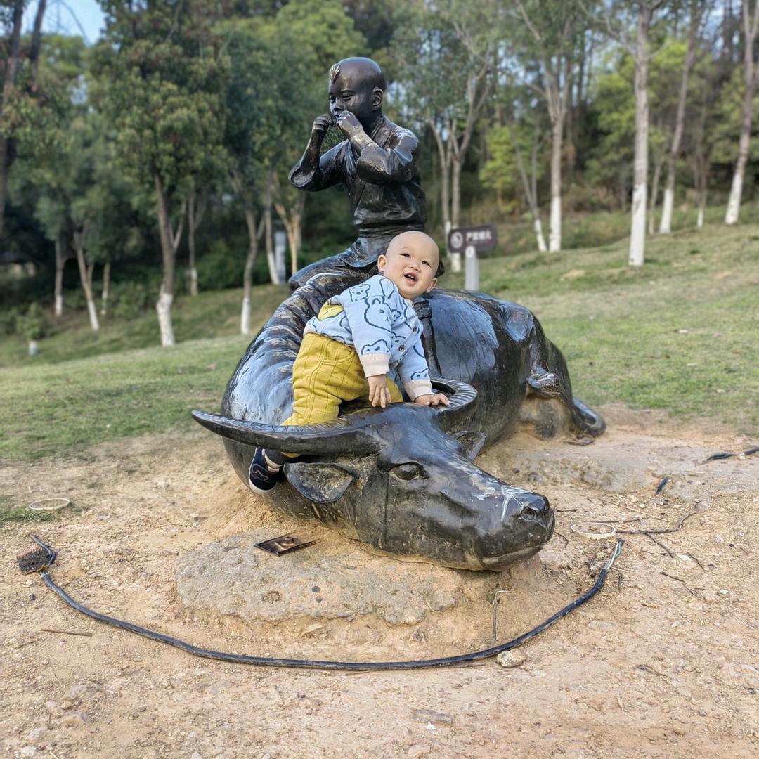 宝