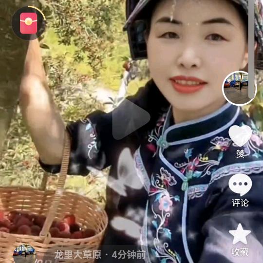 珊珊的苦