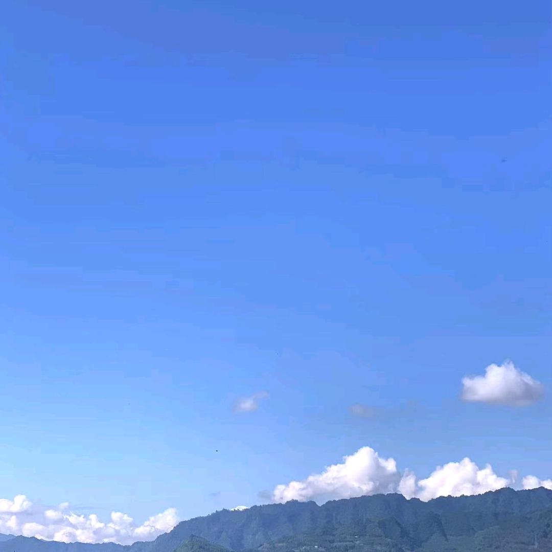 库存新车