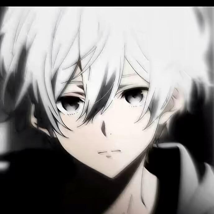 清晨的阳光。。