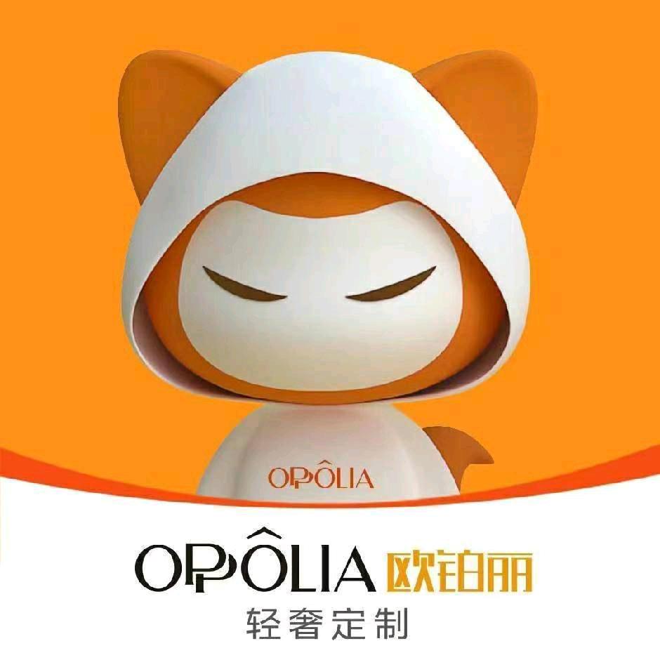 欧铂丽轻奢全案定制宝丰店