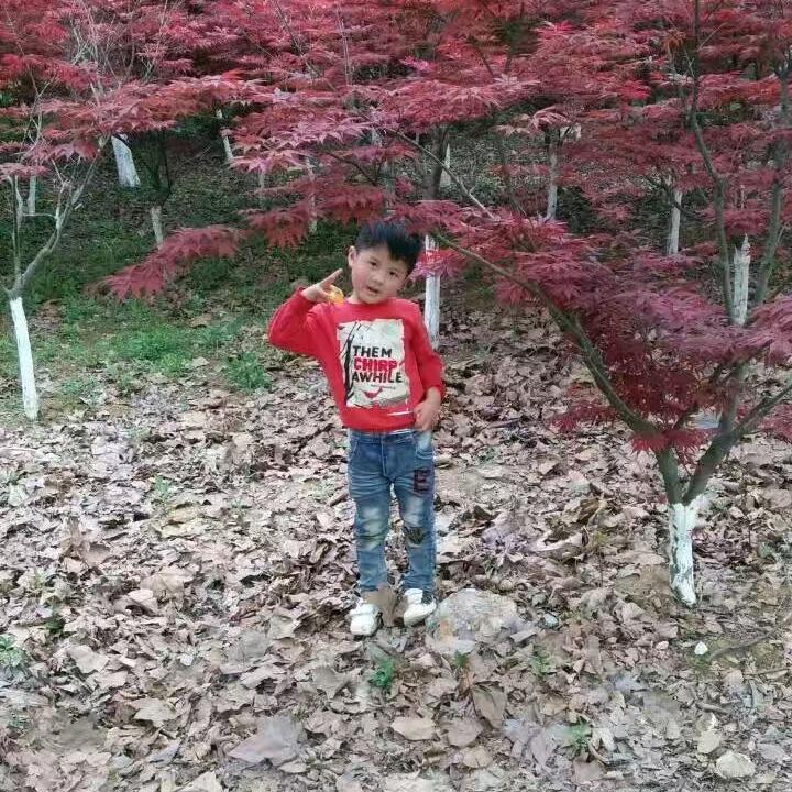 做平凡的自己。