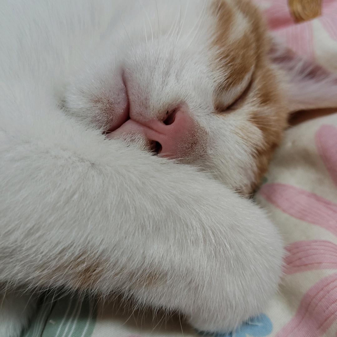 愿ni懂我