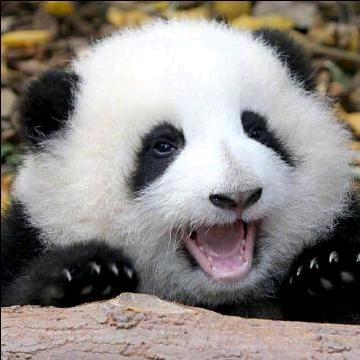 蓝天的云
