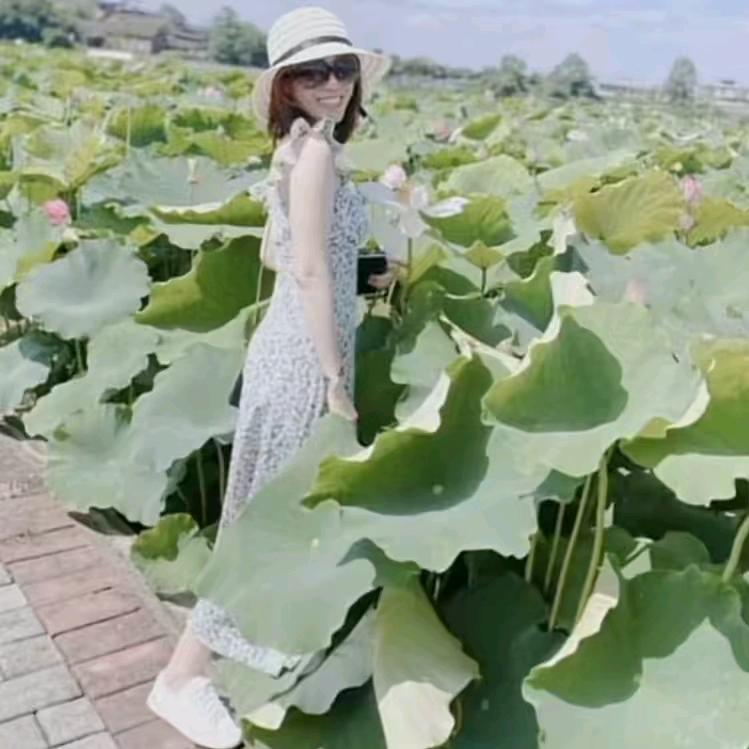 重生推剧(橱窗🚚有好物)