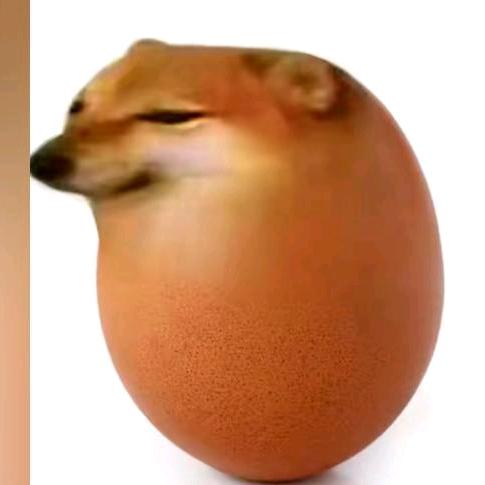 ，狗蛋🐶