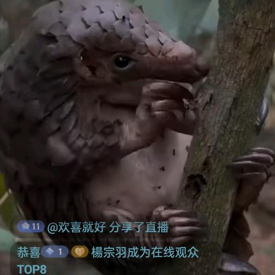 专业吊沙，吊砖的