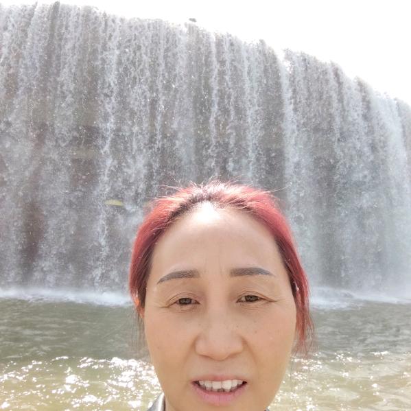 兰花🌸