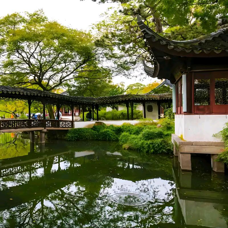 逍遥云宫头像