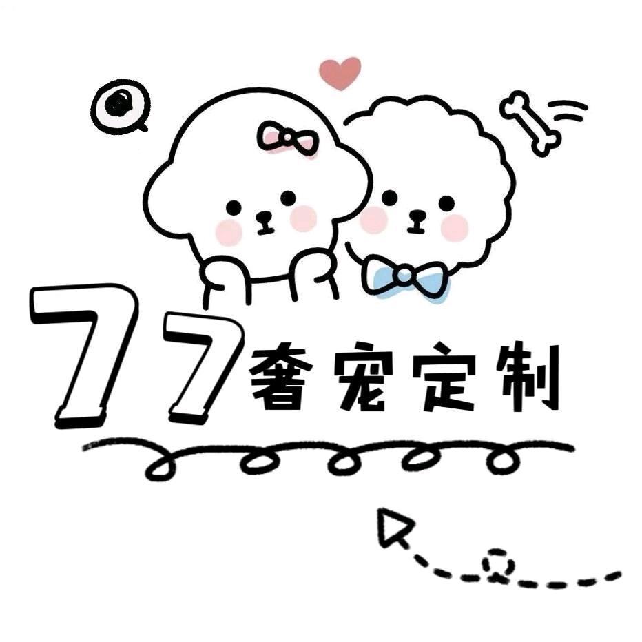 77家韩系比熊定制2号