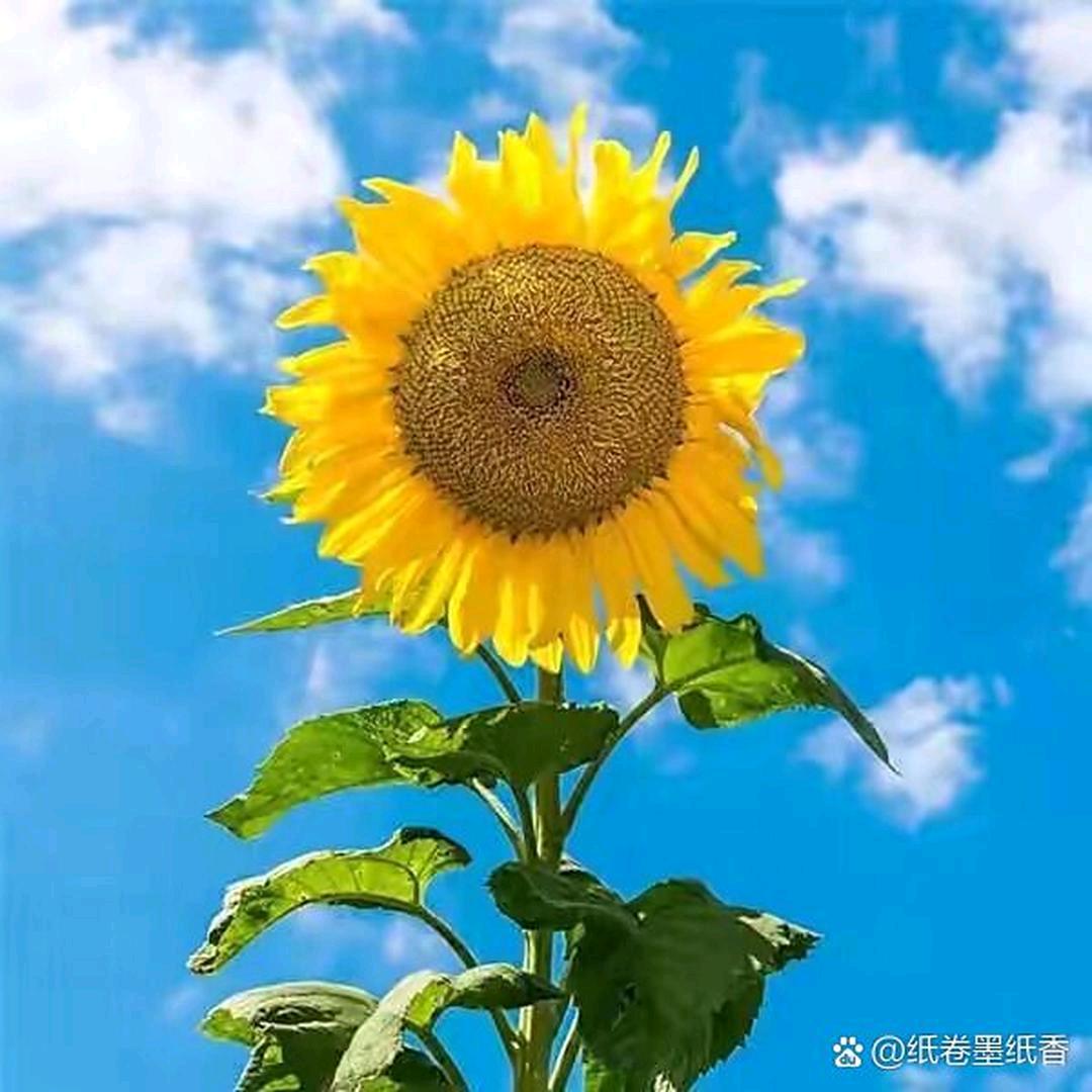 一切顺其自然