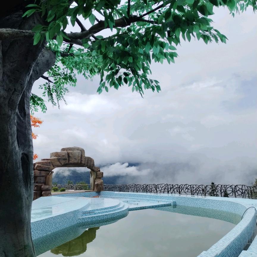 水中花