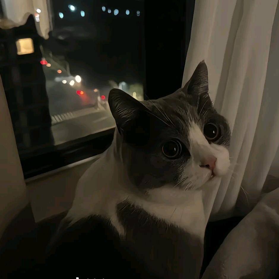 粥粥吧