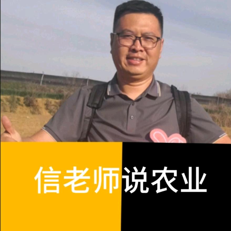 小信说农