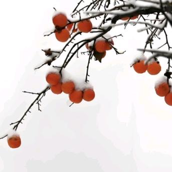 蘭