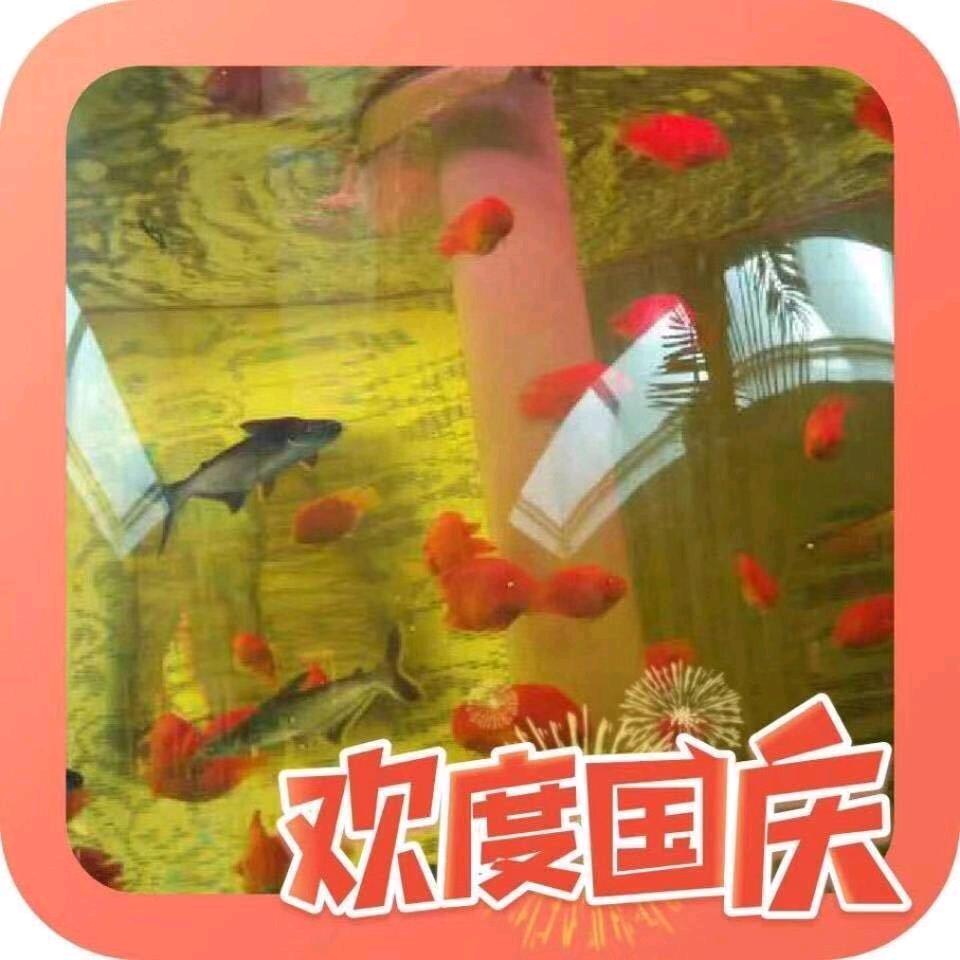 用户8477397029641