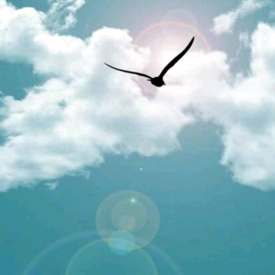 品味人生+我以然是我……我也不在是我