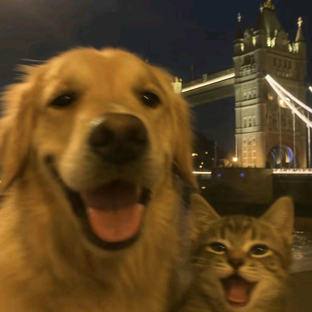 李二狗🐶    🥰