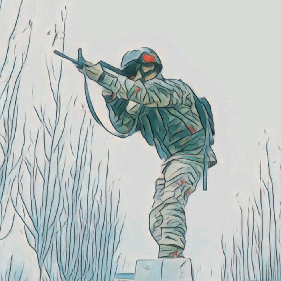 木·白杨