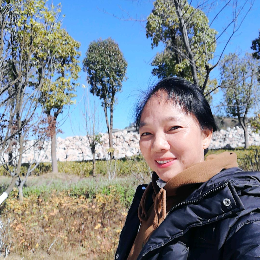 菊花！云南花姐