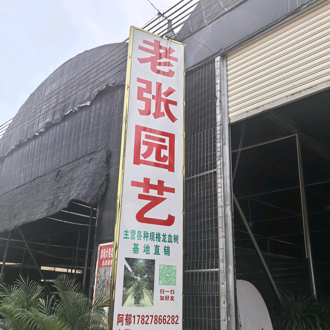广州绿植基地（荔湾实体档口）