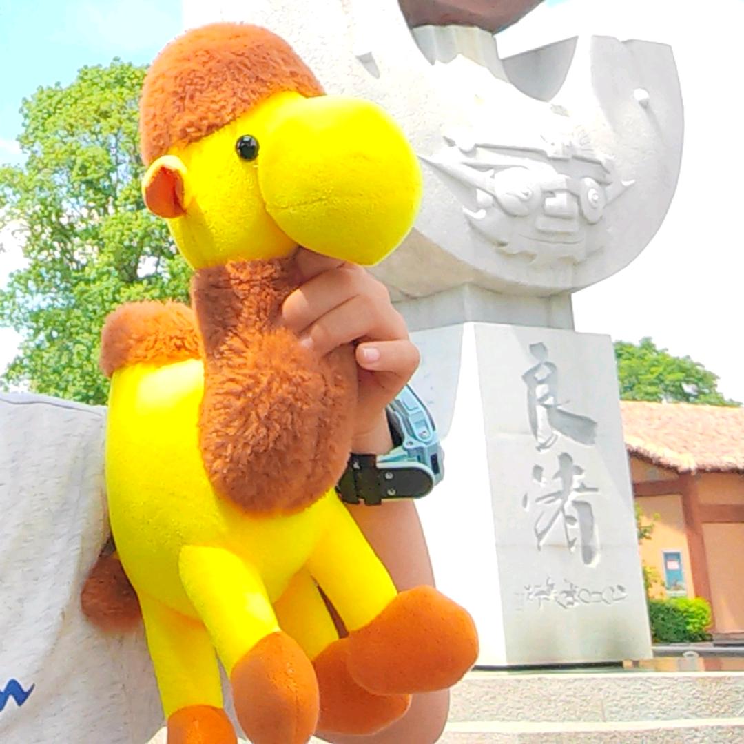 小骆驼游学记