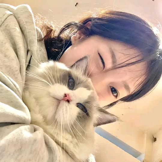 软软小猫~％