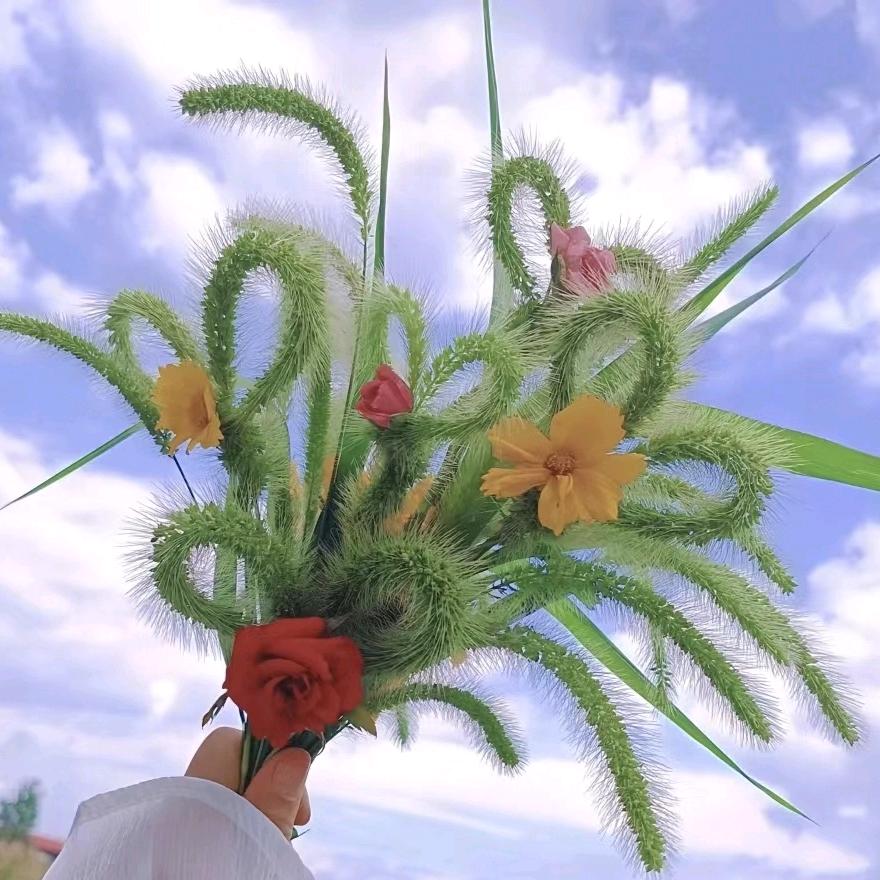 番茄🍅炖了西红柿🍅