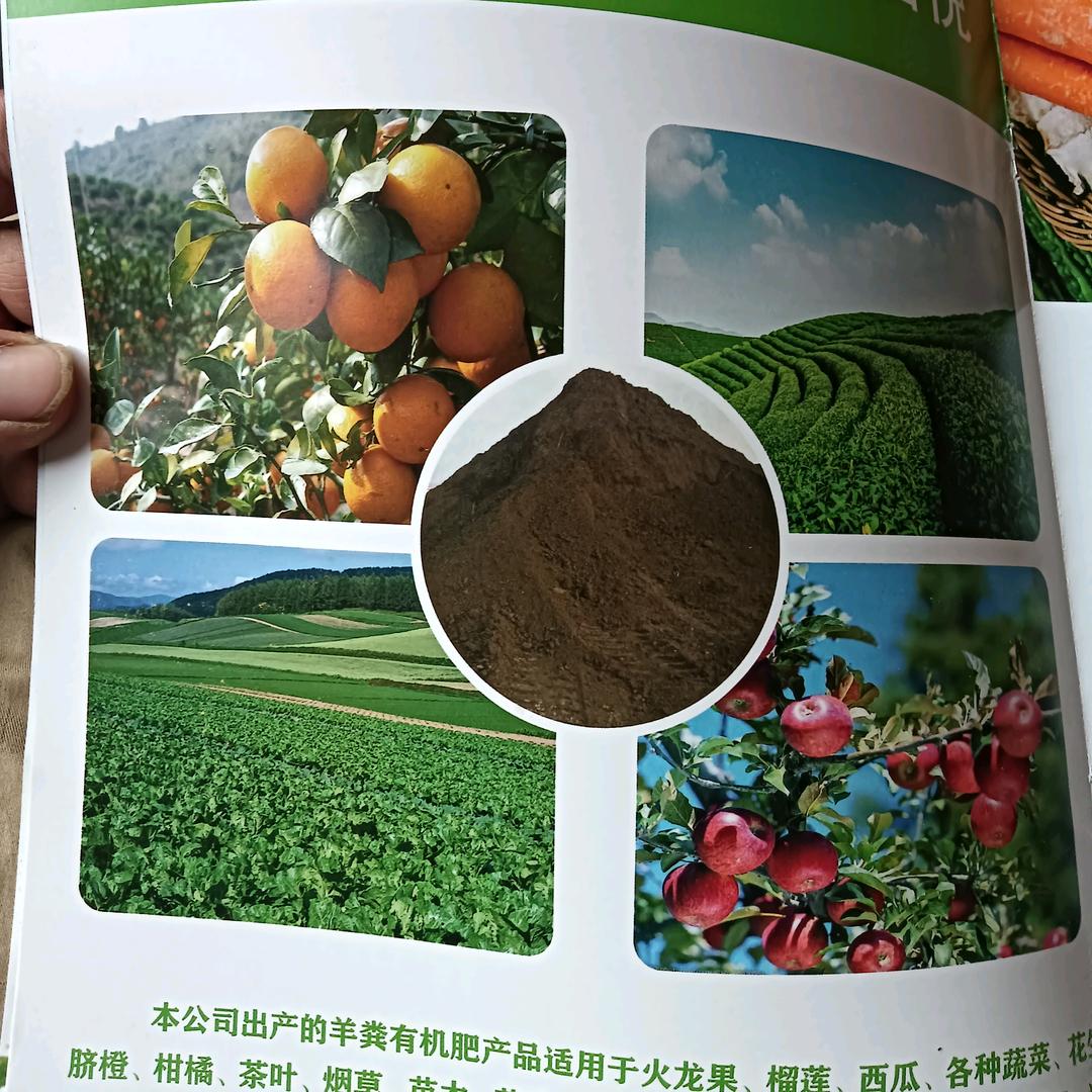 吉县果园托管，发酵羊粪肥负责人全哥