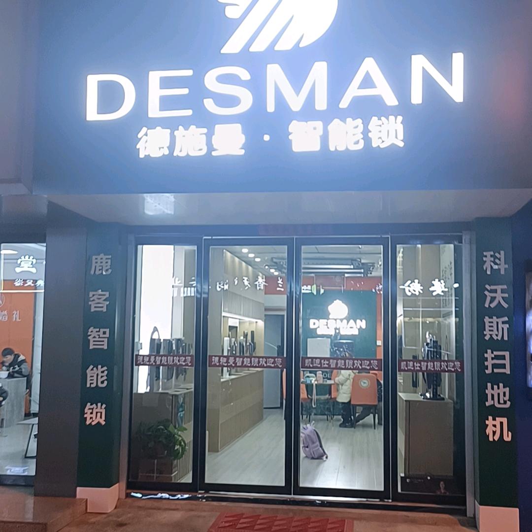 德施曼智能锁RFRY·朱师傅(舒城总店)